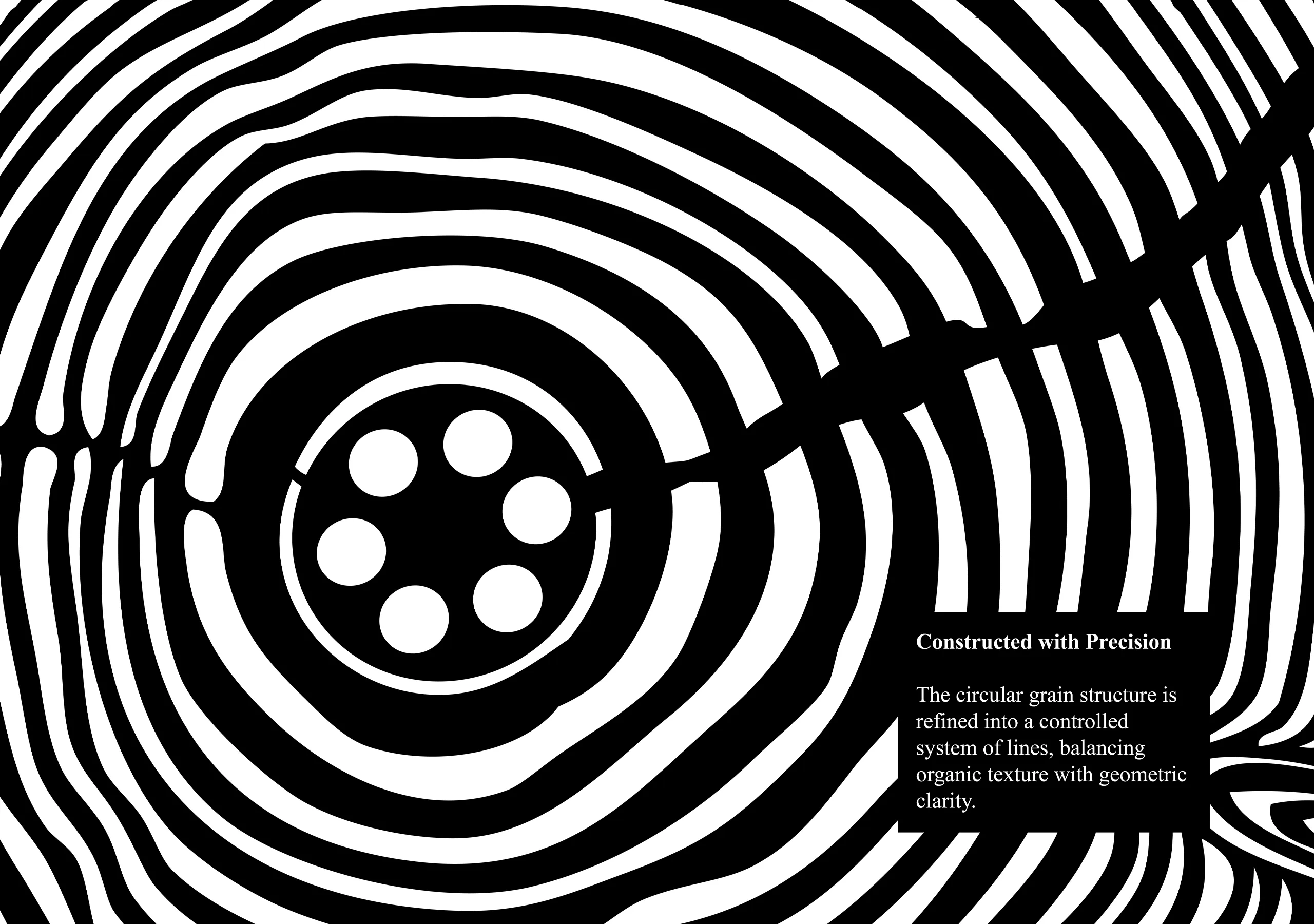 Touch Wood Film Brand Identity Design