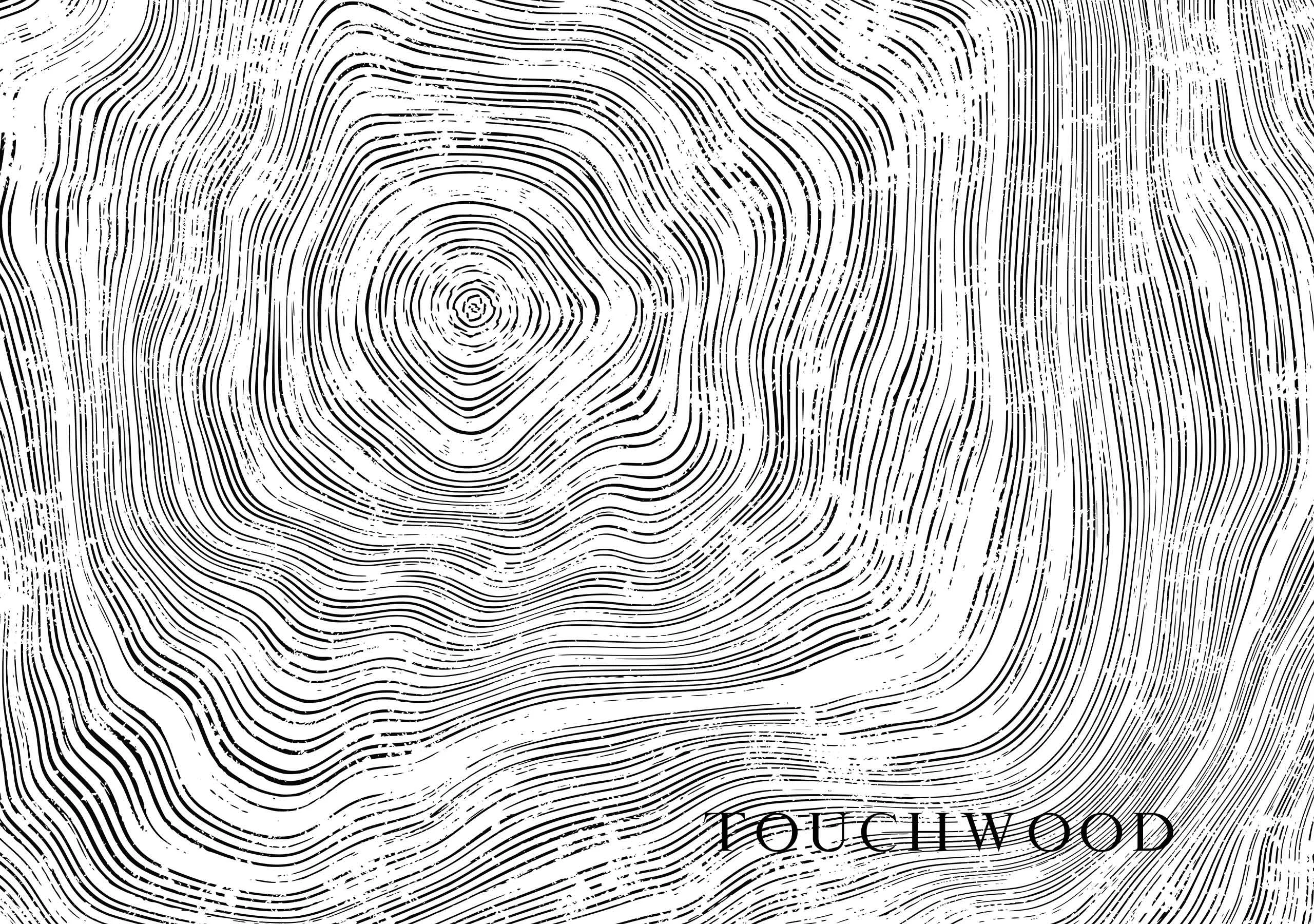Touch Wood Film Brand Identity Design