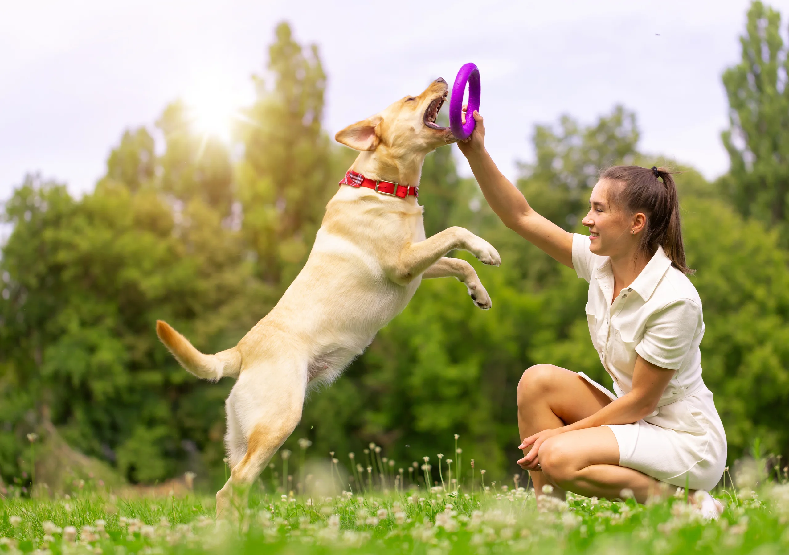 Sky EC Pet Care Packaging Design