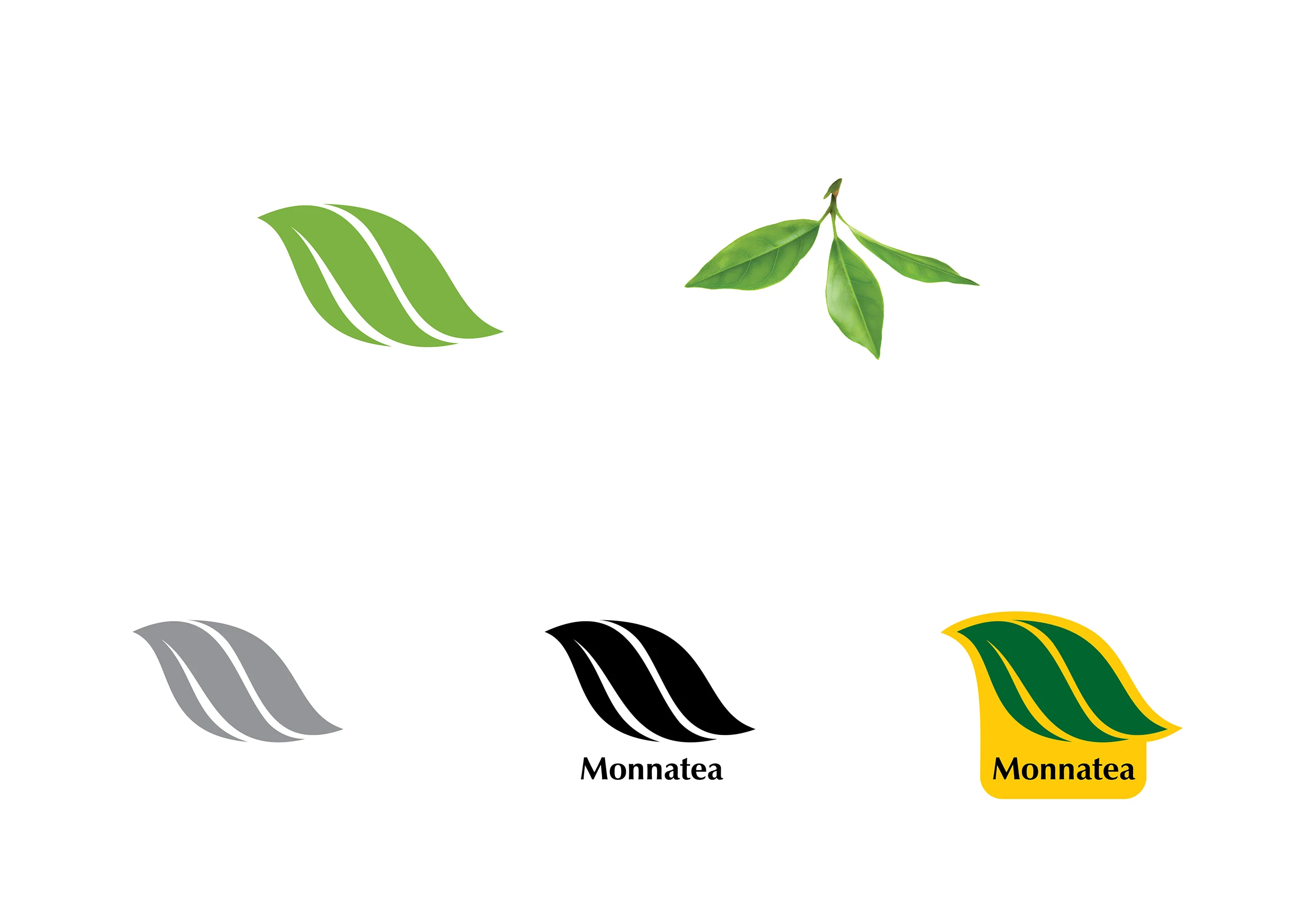 Monnatea Tea Brand Rollout