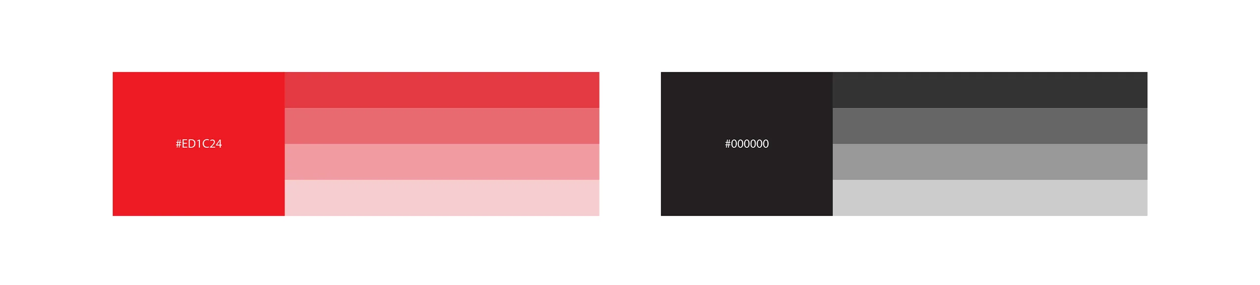 El Class Brand Identity Design