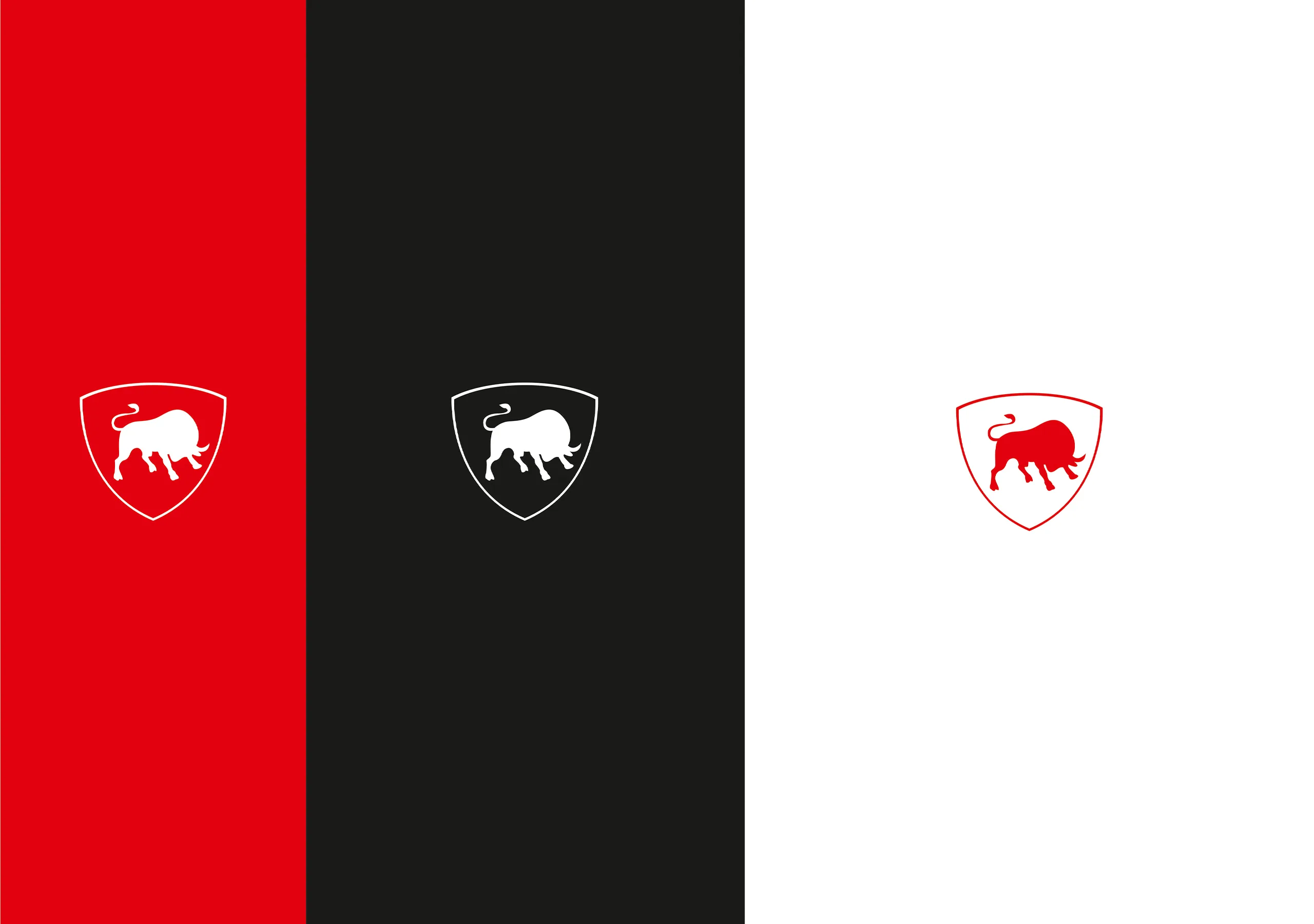 El Class Brand Identity Design
